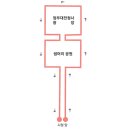 시청앞 가로수길 이미지