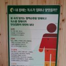 오행쑥뜸 이미지