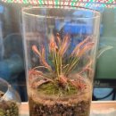 원트 청주 상당 이미지