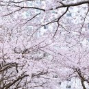 대우마리나아파트 이미지