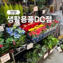 생활용품DC백화점