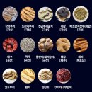 연세본초당