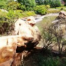 허준근린공원 이미지