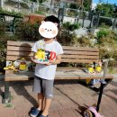 LH감전 꿈꾸는작은도서관 이미지