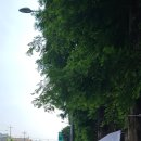 남광카센타 이미지