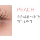 다비치안경안중터미널점 이미지