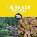 황토생강식품 이미지