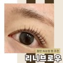 동탄 속눈썹펌 추천 리니브로우 후기