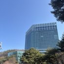 트리플타워 | 하이원리조트 그랜드호텔 컨벤션타워 슈페리어 트리플 숙박 후기