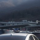 더퍼피즈블루오션 | 강원도 양양 1박2일 애견동반 여행 일정