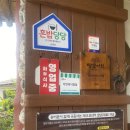 자연과사람들 이미지