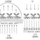 염류집적과 개량방법 이미지