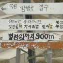 쑥섬이야기