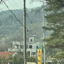 양수리 오리학교 | 양평 서종 맛집 추천 양수리 오리학교 재방문각