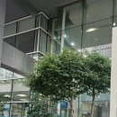 부평시장역 한화생명 앞 이미지