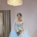 [렌느브라이덜 드레스 투어] 비즈 탑 벨라인 드레스 후기