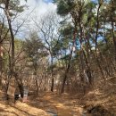 BIFF광장 농협방향 등 | 울산 문수산 산행 청량농협 율리지점 인근 초장골 출발 깔딱고개 코스 등산어플 램블러