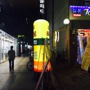 뉴본7080라이브
