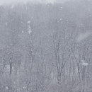 양태극권 이미지