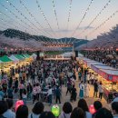 아름다운 하동 강숲별 그리고 바다 | 2025 하동별맛축제, 먹거리 가득한 공연 후기 &amp; 장소 완벽 정리