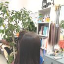 샤빙도봉 | 중랑역 붙임머리 경력 많은 곳에서 붙임 머리 할인 이벤트