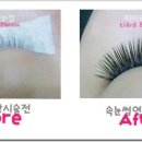 티아라속눈썹