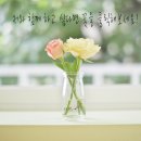 용남스테이 이미지