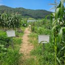 인기농장 이미지