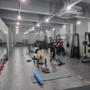 하드캐리짐 이미지