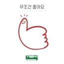 햇빛좋은피티 이미지