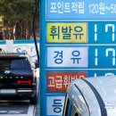 개 최고 이미지