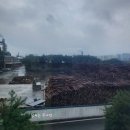 영창비닐 | 영창 피아노 본사 전시장 방문후기♡베이비 그랜드 피아노 연주 해보기, 피아노 구조와 원리를 볼 수...