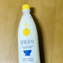 2025 🛍️1월의 소비일기 🛍️