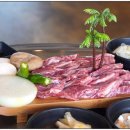 황금장어 이미지