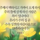 임마누엘 이미지