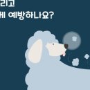 서울대동물종합병원 이미지