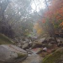 청풍펜션 이미지