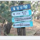 병곡1리 고래불해수욕장 이미지