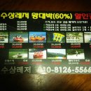 돌핀수상레져