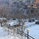 횡성초보캠핑장 이미지