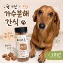 난가수다 | 국내산 가수분해 간식 후기, 8살 닥스훈트가 먹어본 홍삼이랑유산균 관절면역 간식