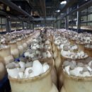 성무농장 이미지