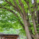 칼봉산카라반캠핑장 | [가평캠핑장]경반계곡 칼봉산카라반펜션캠핑장 깨끗한화장실,샤워실 인상적인곳