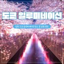 도쿄 크리스마스 일루미네이션 일정