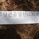 샛담 이미지