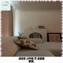성남옥탑방 | 복산동 애견카페 성남옥탑방 가격 및 후기 추천 리뷰 주차 예약 알아볼까요