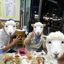 난전매운탕 | [속초 대포항]옥이네횟집, 대포항난전K동, 믿고 찾는 단골집n차 방문후기, 게먹고회먹고