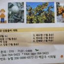 신희농장 네이버블로그