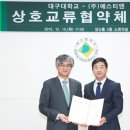 STN(에스티엔)