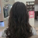 리포엘헤어